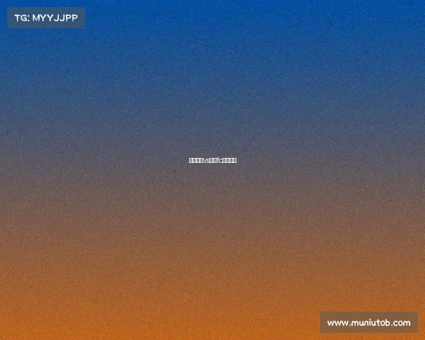 横滨水手vs横滨fc比分预测